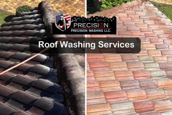 Local Roof Washing Services NC