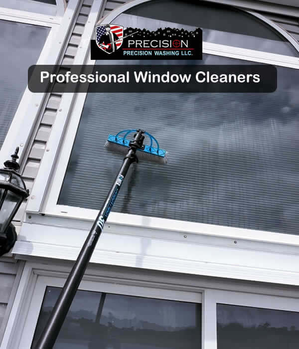 Local Window Cleaning Services