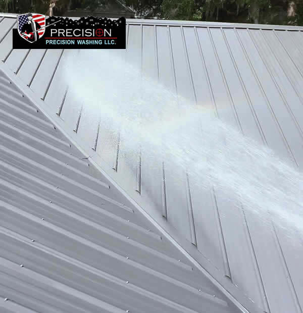 Professional Roof Washing NC