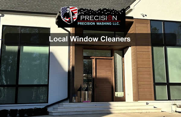 Professional Window Cleaners NC