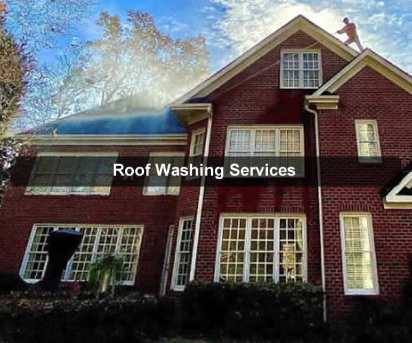 Roof Washing - Learn More